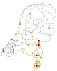 Waarnemingen grote vos voorjaar 2012. Licht: een dag; donkerder oranje: 2 tot 4 dagen en donkerste kleur: 5 of meer dagen waargenomen in dat 10x10 km-hok (bron: NDFF)