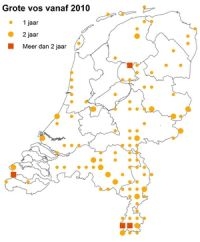 Grote vos vanaf 2010 met het aantal jaren waarin de soort gezien is (bron: NDFF)