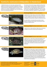 Herkenningskaart zoetwaterschildpadden (bron: RAVON)