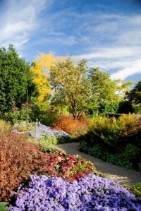 Tuin in de herfst. Hoezo saai (foto: De Tuinen van Appeltern)