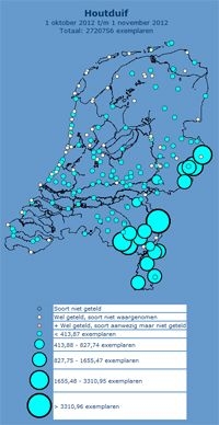 Doortrekpatroon van Houtduiven in Nederland in oktober 2012. Let op het verschil tussen het zuidoosten en de rest van Nederland (foto: trektellen.nl)