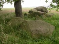 Sterk beschaduwd hunebed bij Valthe