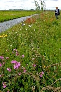 Meer kleur in het groen, hier in idylle Ottoland (foto: Kars Veling)