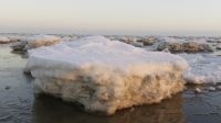 IJsschotsen op het wad (foto: Harm Albers)