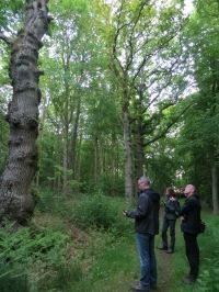 Wie weet zitten hier ook vleermuizen (foto: Landschap Noord Holland)