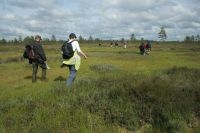 Excursie in een hoogveen (foto: Gert-Jan van Duinen)