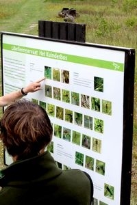 Het informatiebord over de libellen in het Kuinderbos (foto: Kars Veling)
