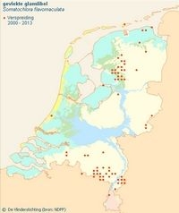 Verspreiding gevlekte glanslibel (bron: Libellennet)