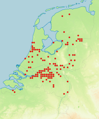 Waarnemingen van de iepenzigzagbladwesp in Nederland in 2014 (kaart: EIS Kenniscentrum Insecten)
