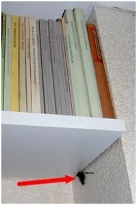 Deze kleine vos heeft een plekje gevonden onder de boekenkast in een onverwarmde kamer (foto: Kars Veling)