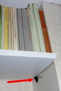 Overwinterende kleine vos onder boekenplank in een koel blijvende kamer (foto: Kars Veling)