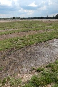 Zowel plaggen als chopperen moet kleinschalig gebeuren (foto: Kars Veling)