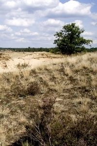 Natuurlandschap (foto: Kars Veling)