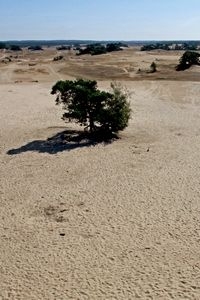 Raad voor Leefomgeving pleit voor grote landschappelijke eenheden natuur (foto: Kars Veling)