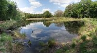 Wilde, natte natuur: ven (foto: Wout Sellingen)