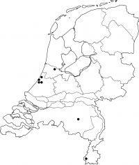Nederlandse vindplaatsen van de plaagmier (Gegevens kaartje: EIS-Nederland)