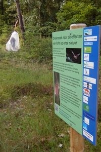 In het onderzoeksproject ’Licht op Natuur’ wordt de invloed van kunstlicht onderzocht op de natuur (foto: Kars Veling)