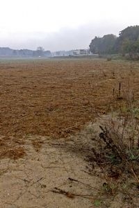 Maaisel uit de Bruuk in het Renkums beekdal (foto: Michiel Wallis de Vries)