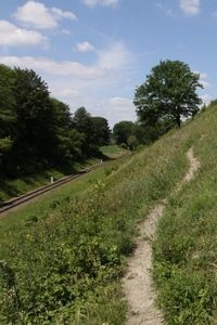 De spoorinsnijding bij Eys met bijzondere plantengroei en zeldzame dieren (foto: Kars Veling)