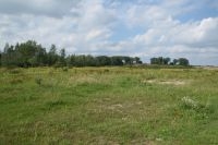 Begraasd half open landschap Millingerwaard (foto: Bart Beekers)