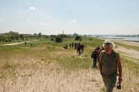 Vrijwilligers uit de Broekpolder op excursie in de Millingerwaard (foto: FREE Nature)