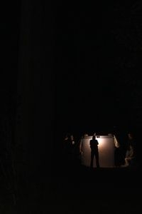 De kastanjebruine uil werd tijdens de Nachtvlindernacht gelokt met licht (foto: Kars Veling)