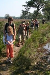 Nu kun je nog vrij wandelen in de natuur (foto: Kars Veling)