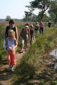 Nu kun je nog vrij wandelen in de natuur (foto: Kars Veling)