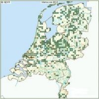 Verspreiding van de kleine vos in 2010 tot 19 april (bron: Nationale Databank Flora en Fauna)