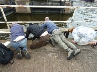 Floristen zoeken planten langs een grachtkant (foto: Peter Wetzels)