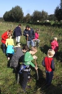 Kinderen en ouderen planten gezamenlijk pimpernellen (foto: Kars Veling)