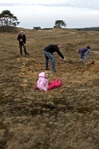 Afgelopen zaterdag werkten meer dan 100 vrijwilligers voor de kleine heivlinder op het Kootwijkerzand (foto: Kars Veling)