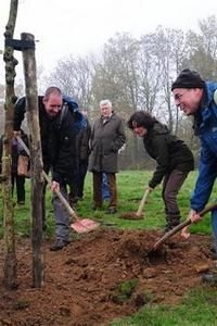 Fladderiepen aanplanten voor de iepenpage in Heerlen (foto: Gertie Scherpenisse)