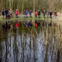 Vrijwilligers zijn onmisbaar voor onderhoud en monitoring van poelen (foto: Kars Veling)