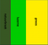 Schematische weergave van de ligging van een luzerne-faunarand in het experiment met Veldmuizen (figuur: Werkgroep Grauwe Kiekendief)