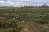 Uitgestrekt hoogveenlandschap in West-Siberie (foto: Gert-Jan van Duinen)