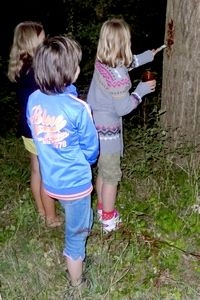 Ook door een zoete stof op bomen te smeren worden nachtvlinders gelokt (foto: Kars Veling)