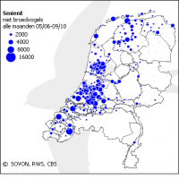 Verspreiding van de smient in de winters 2005-2006 tot en met 2009-2010 (foto: Sovon, RWS en CBS)