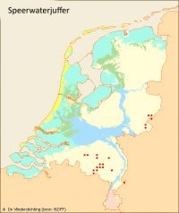 Verspreiding speerwaterjuffer in Nederland (bron: Vlinderstichting en NDFF)