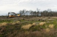 Herstelmaatregelen stuifzand op Strabrechtse Heide (foto: Remco Versluijs)