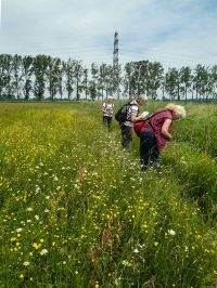 Excursie in het gebied (foto: Willem van Raamsdonk)