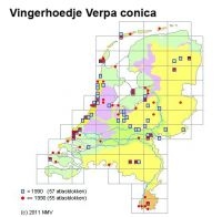 Verspreiding vingerhoedje in Nederland (kaartje: Verspreidingsatlas Paddenstoelen)