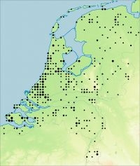 Verspreidingskaart van de bladpootwants. De grootte van de stip weerspiegelt het aantal waarnemingen (kaart: EIS-werkgroep Wantsen)