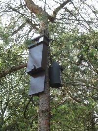 Twee typen vleermuiskasten aan een boom (foto: Erik Korsten)