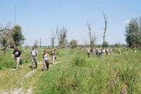 Vrijwilligers FREE Nature in de Oostvaardersplassen (foto: FREE Nature)