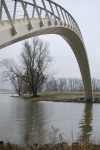 Dankzij de nieuwe wandelbrug kun je vanaf de Nijmeegse Waalkade zo de Stadswaard in lopen (foto: FREE Nature)