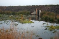Dam in hersteld hoogveen voor een stabiel waterpeil (foto: Gert-Jan van Duinen)