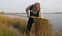 RAVON volgt in samenwerking met DWHC en Natuurmonumenten het verloop van de situatie in Dwingelderveld (foto: Jelger Herder)