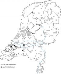 Voorkomen van de zandhommel vroeger (grijze vierkantjes) en nu (zwarte stippen) (kaart: EIS Kenniscentrum Insecten)