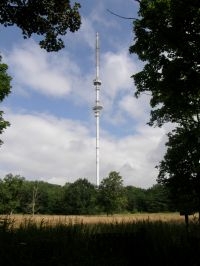 Zendmast Robbenoordbos (foto: Bureau Waardenburg)